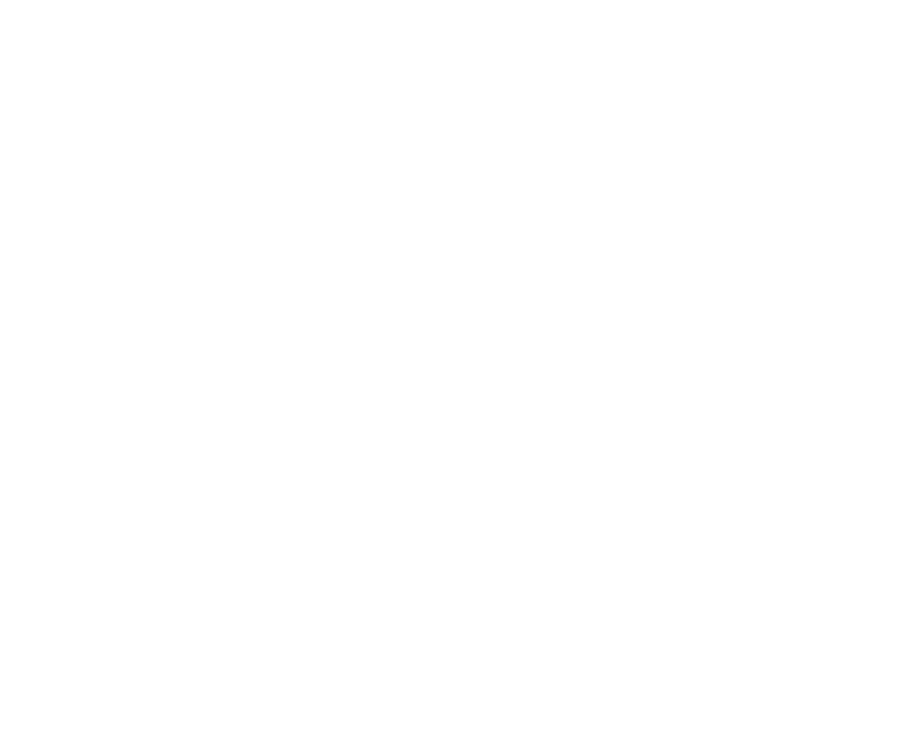 WF mechanik